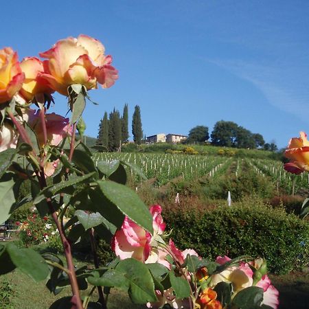 Villa Buonasera Agriturismo Greve in Chianti Zewnętrze zdjęcie