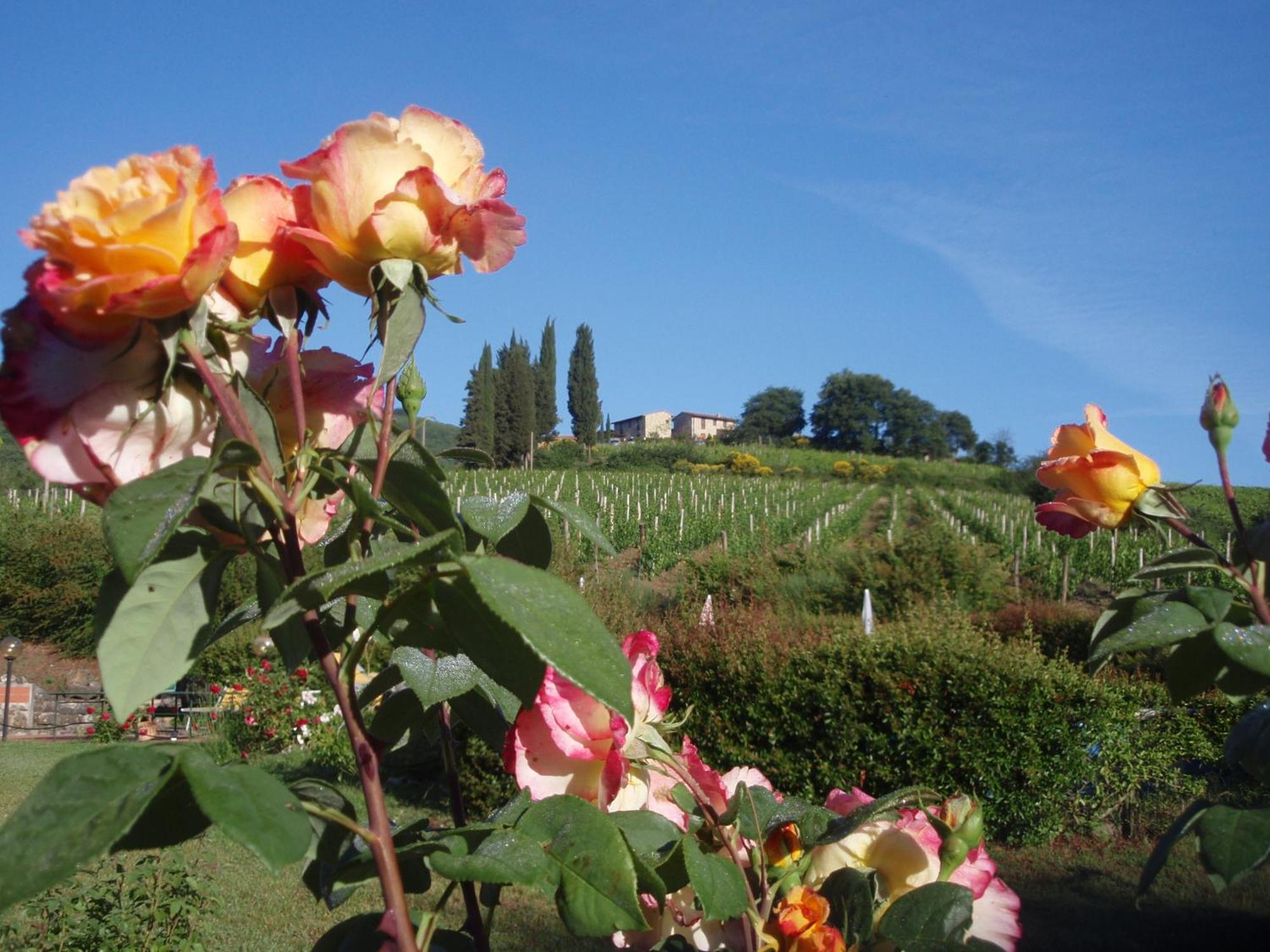 Villa Buonasera Agriturismo Greve in Chianti Zewnętrze zdjęcie