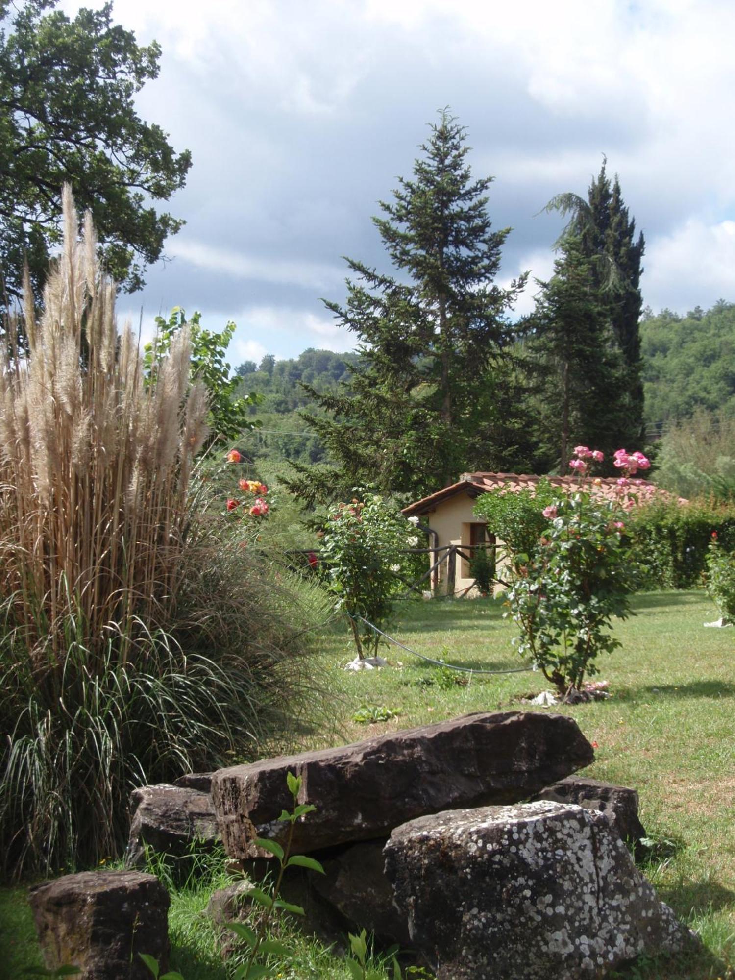Villa Buonasera Agriturismo Greve in Chianti Zewnętrze zdjęcie
