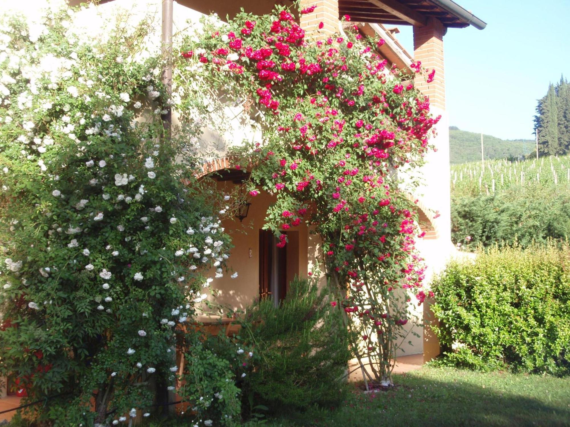 Villa Buonasera Agriturismo Greve in Chianti Zewnętrze zdjęcie